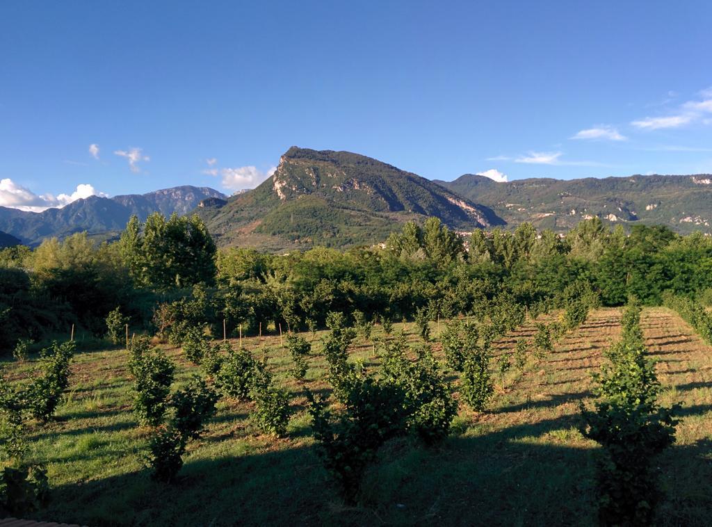 La Luna Nel Fiume Giffoni Valle Piana Εξωτερικό φωτογραφία
